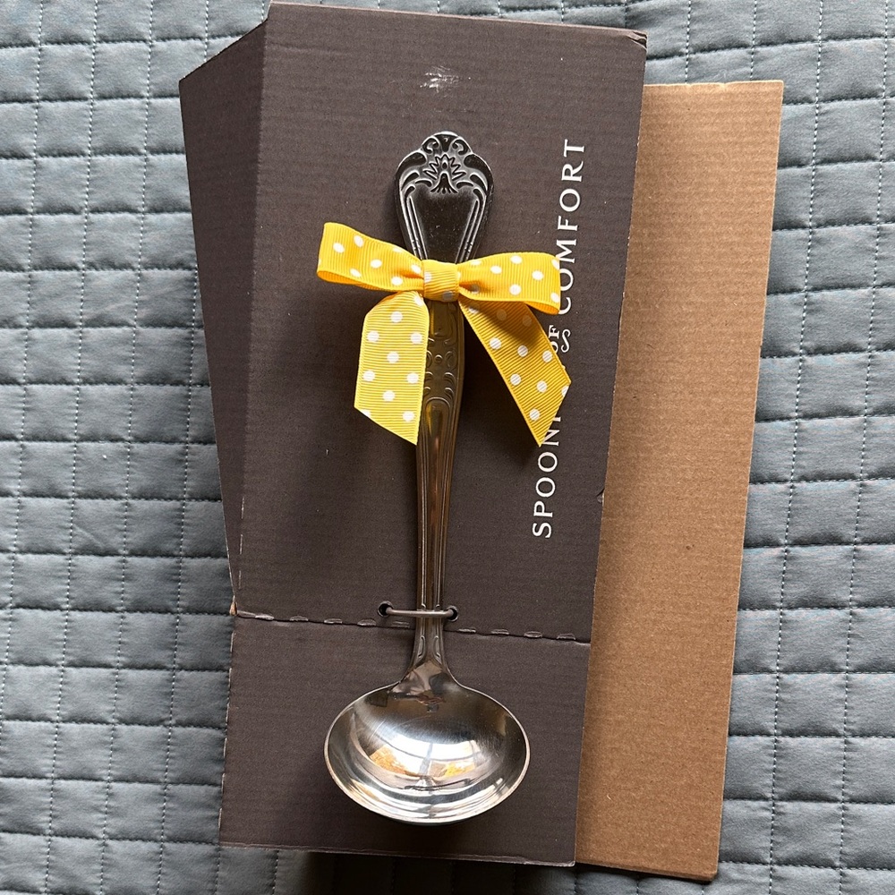 Spoonful of Comfort Silver Ladle NEW